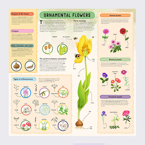 Learning about the Garden with Sleeping Beauty