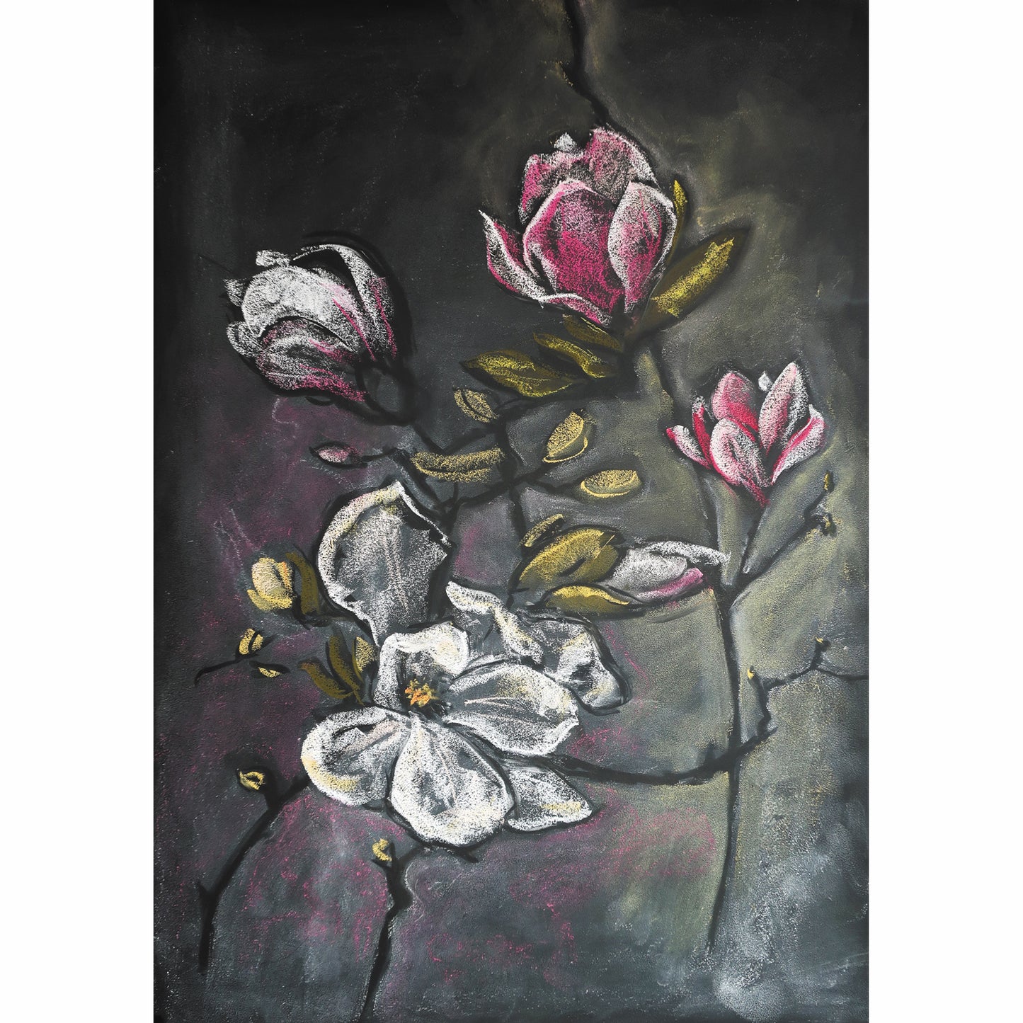 Magnolia chalk drawing postcard