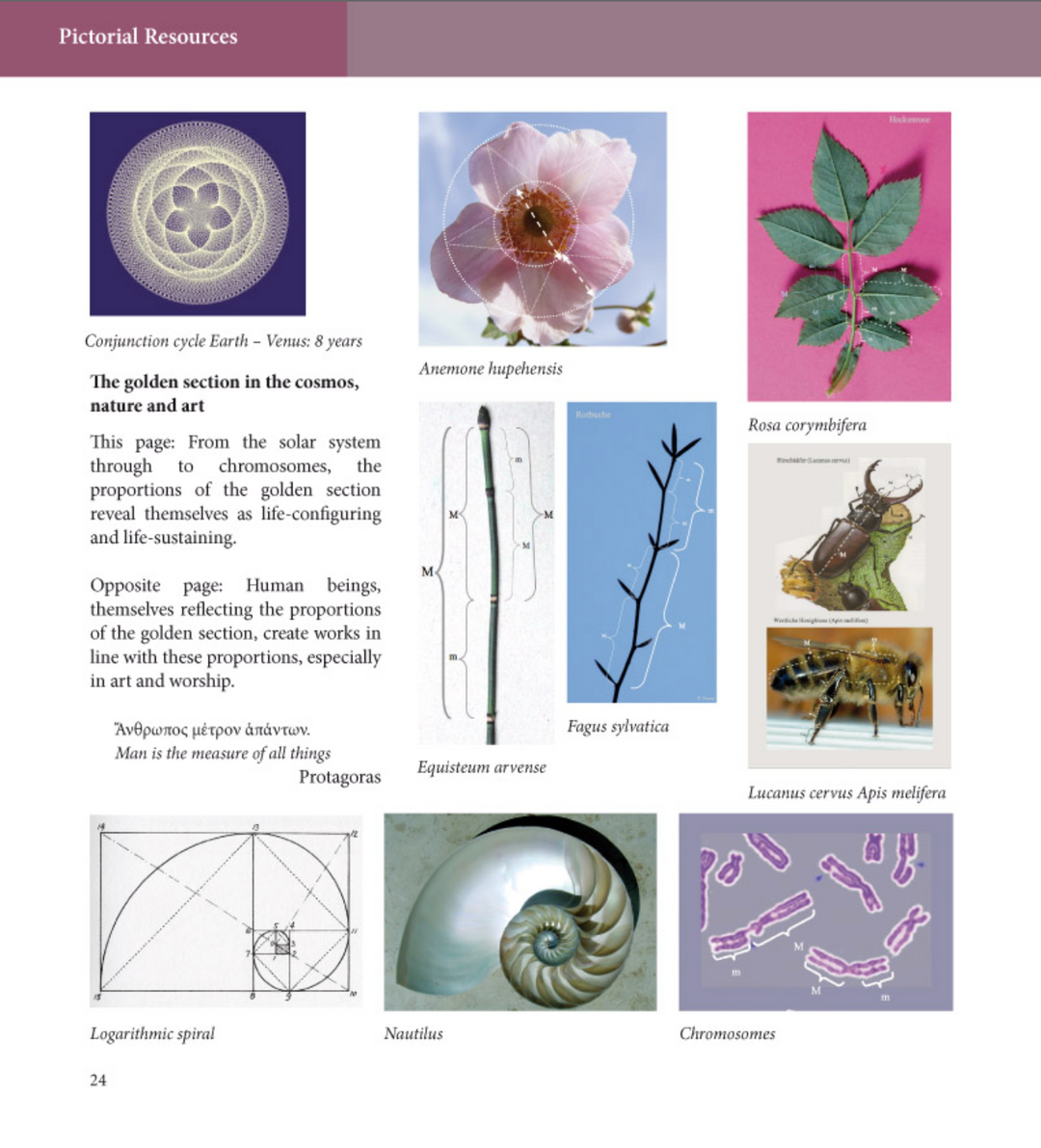 853c68de7253cdd55dc37be410a45c60%2FScreenshot 2021-06-28 at 6.18.26 PM.png