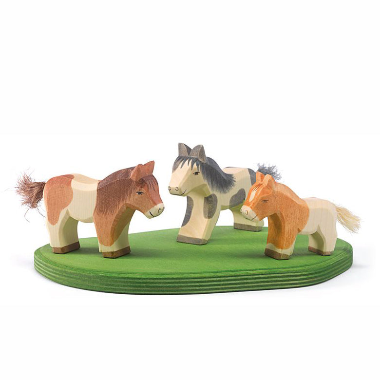 Ostheimer Shetland pony running