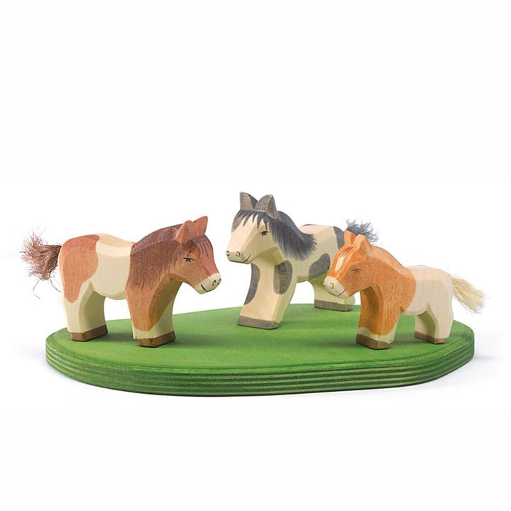 Ostheimer Shetland pony running