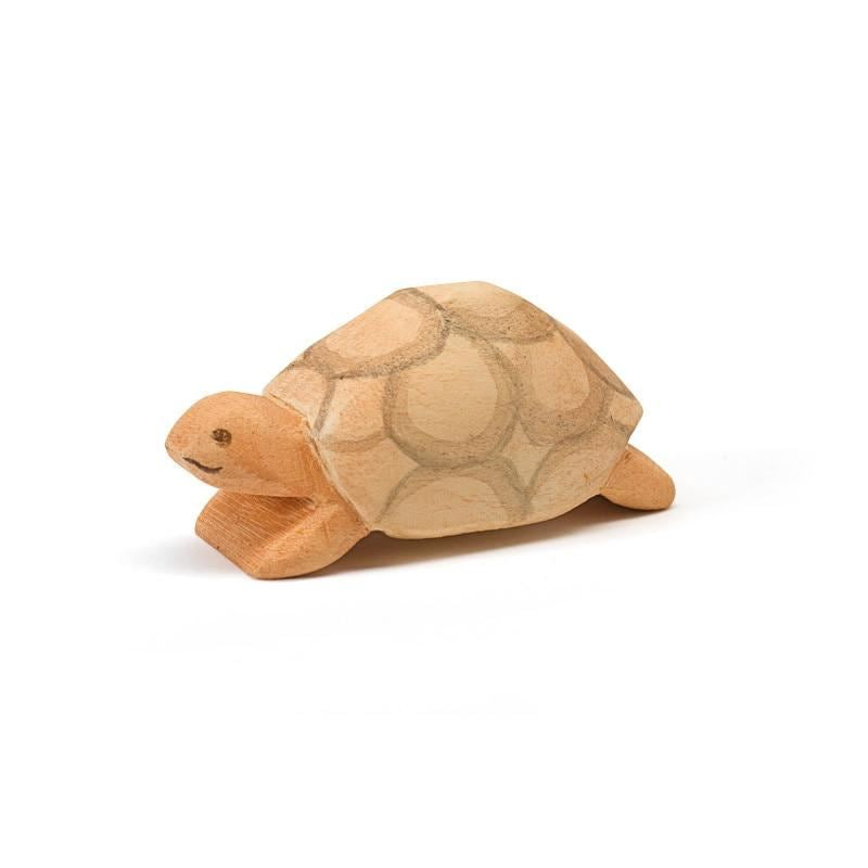 Ostheimer turtle large