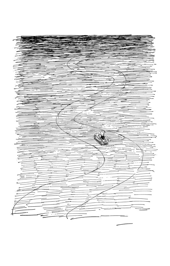 fullpage_20_19_93d2e686-fd0f-4454-b934-624406e00297.jpg