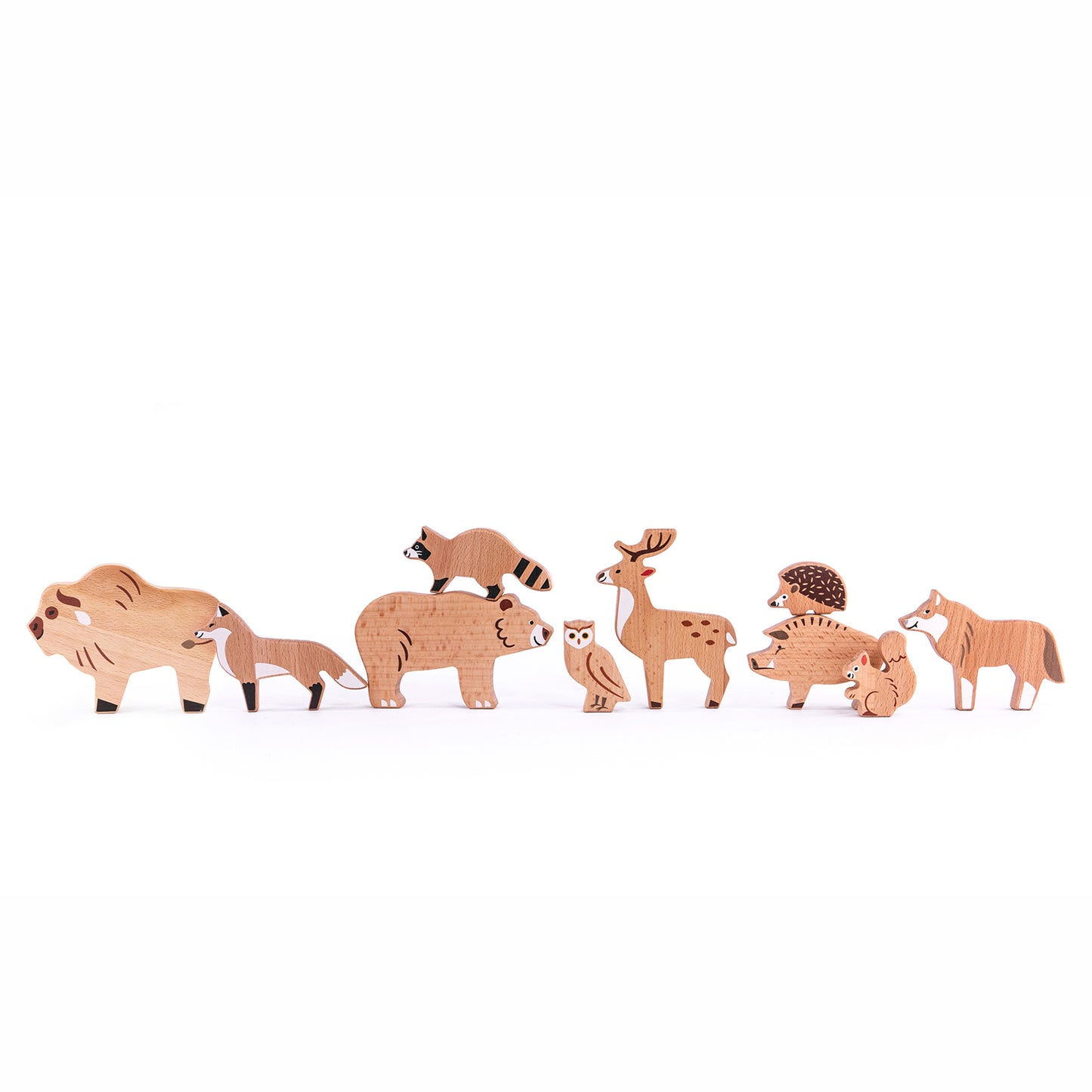 Bajo Forest Animals
