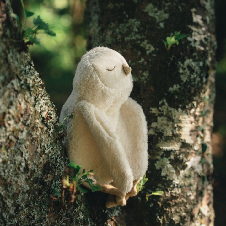 cuddly snowy owl with warming inlet
