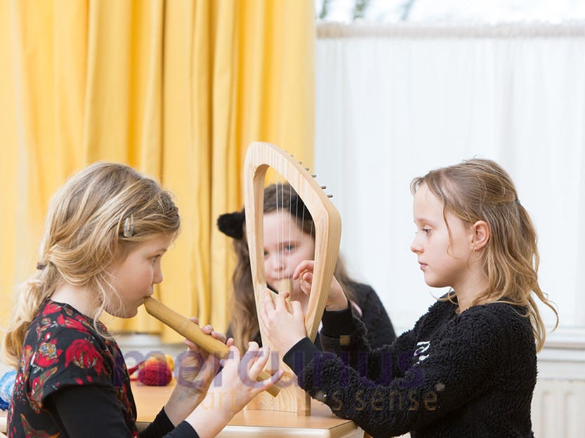 Choroi pentatonic Children's Harp 7 Strings (special order)