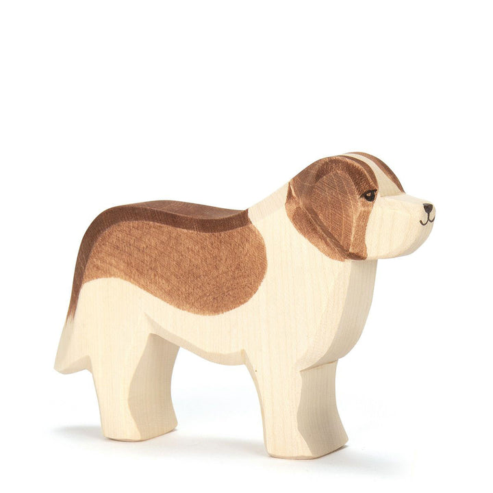Ostheimer st. bernard dog