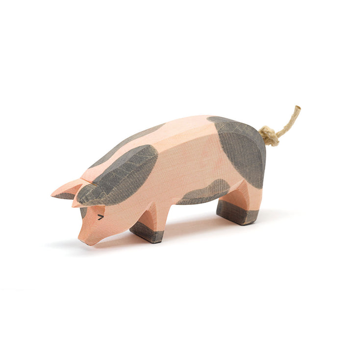 Ostheimer spotted pig head low
