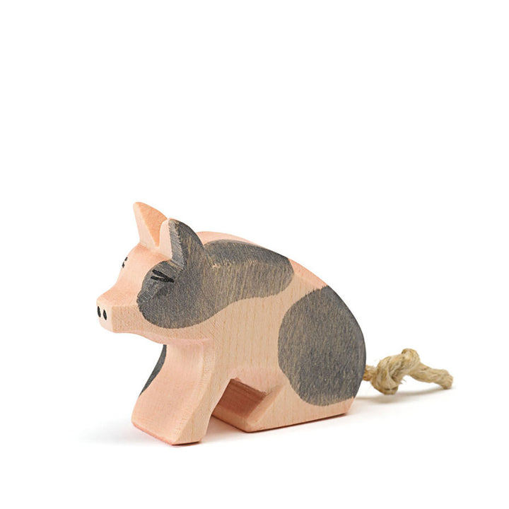 Ostheimer spotted piglet, sitting