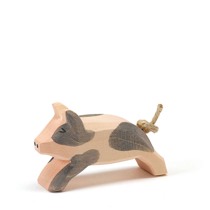 Ostheimer spotted piglet, running
