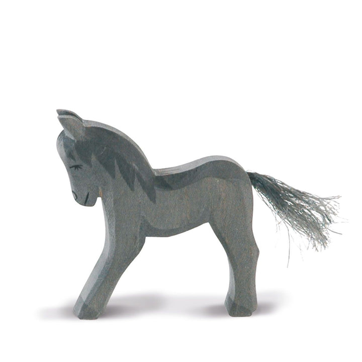 Ostheimer black colt
