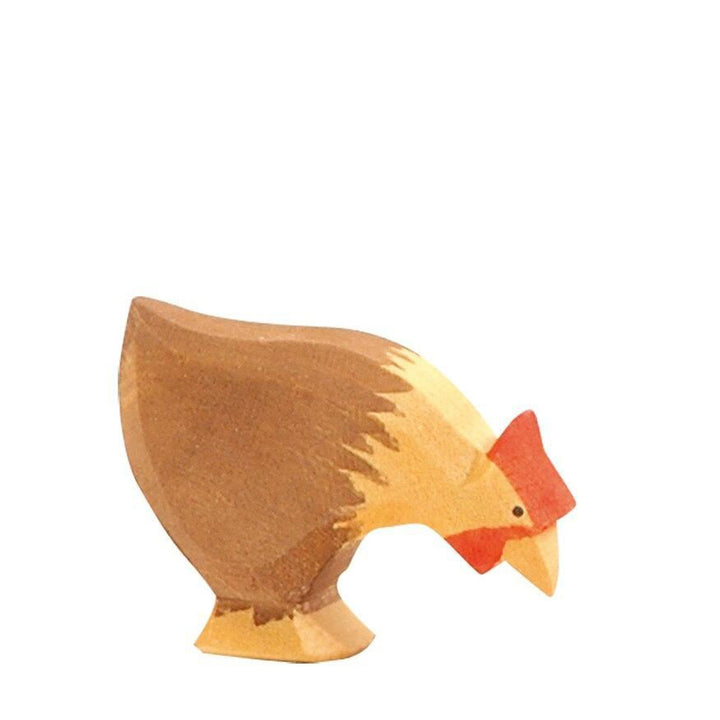 Ostheimer brown hen pecking