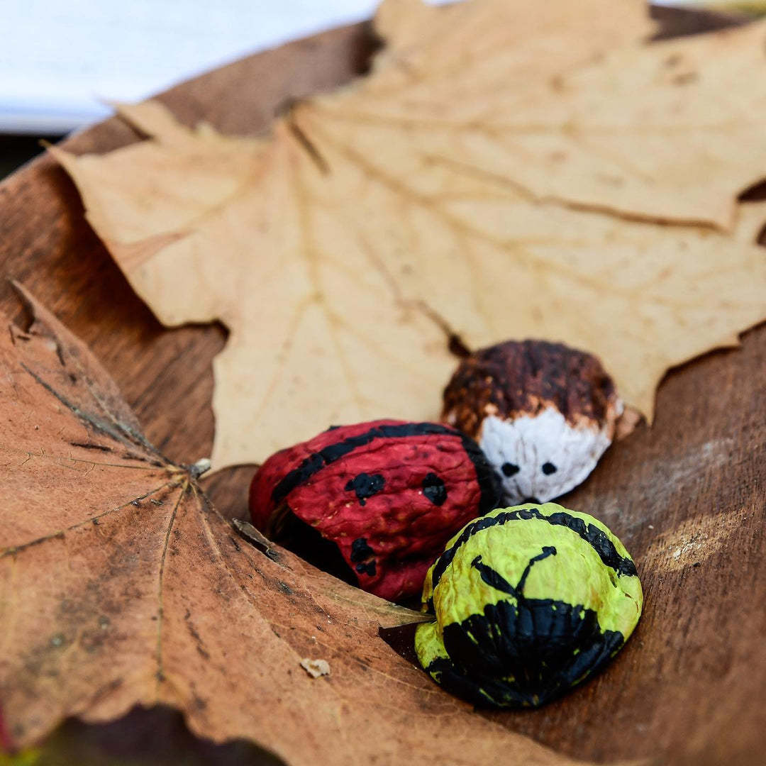 A Year and a Day, Issue 3: Squirrels and Nuts