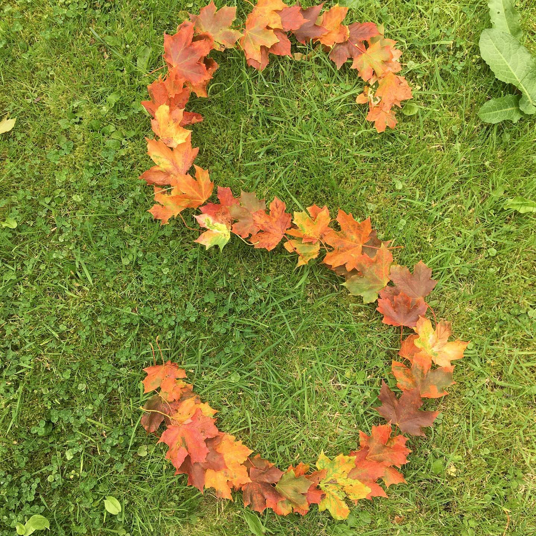 A Year and a Day, Issue 3: Squirrels and Nuts