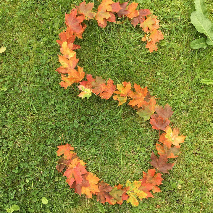 A Year and a Day, Issue 3: Squirrels and Nuts