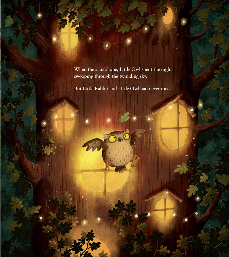 When Little Owl Met Little Rabbit