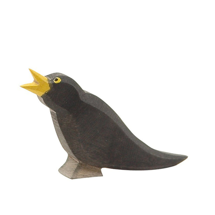Ostheimer blackbird
