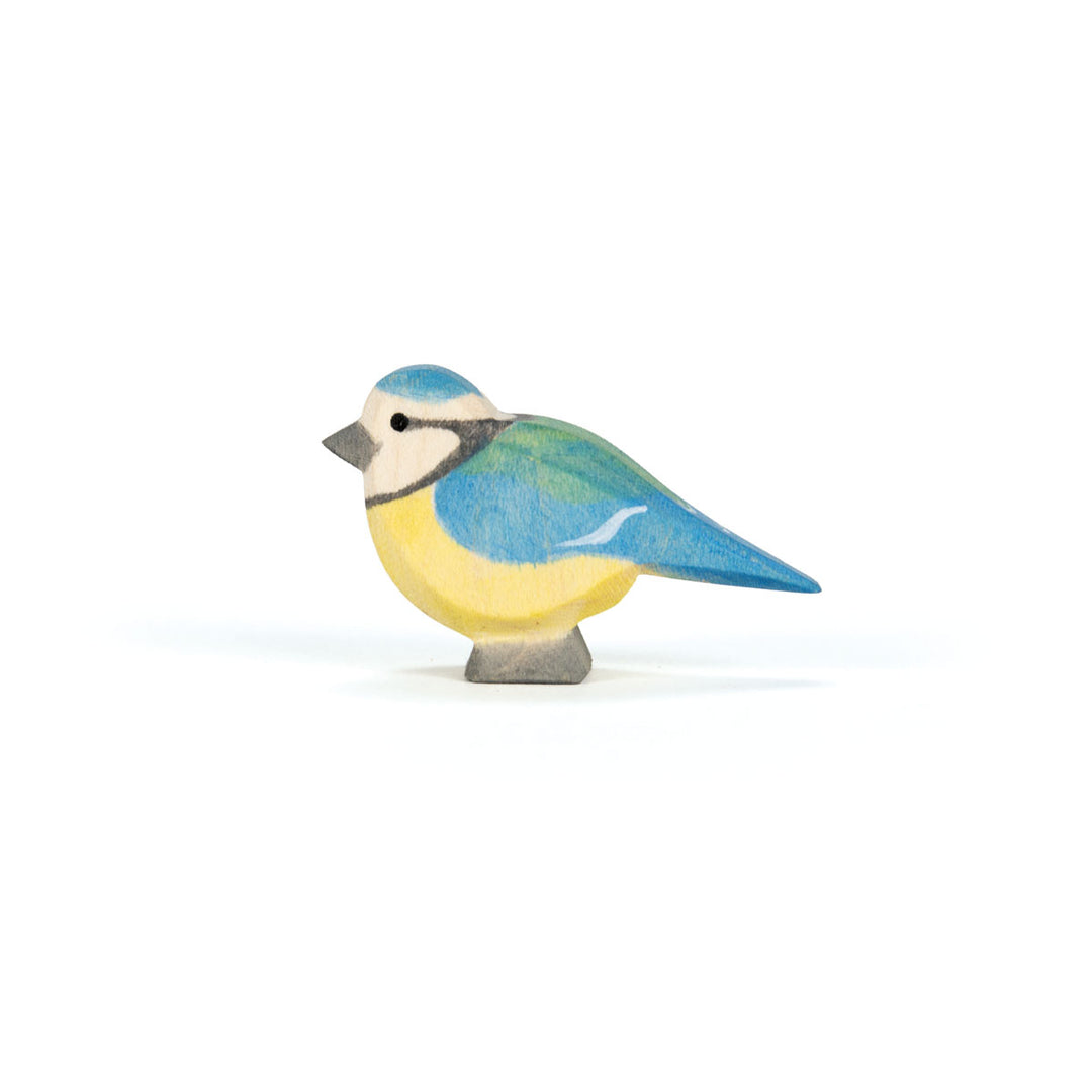 Ostheimer blue tit