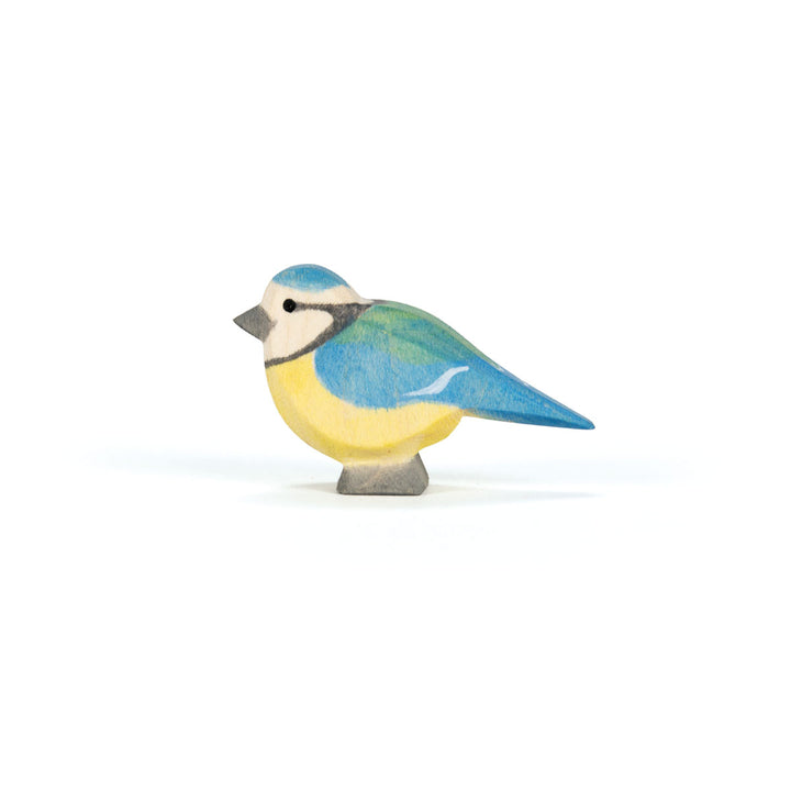 Ostheimer blue tit