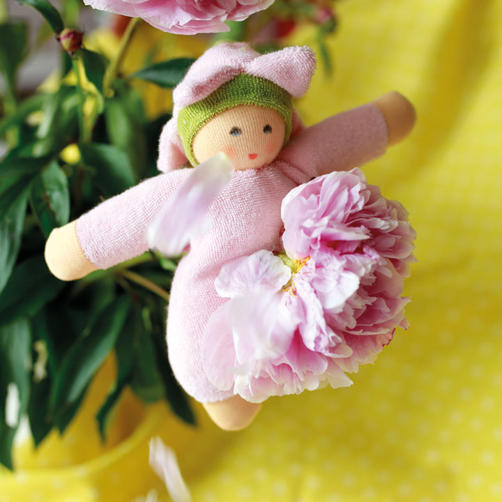 Nanchen flower fairy Rosa