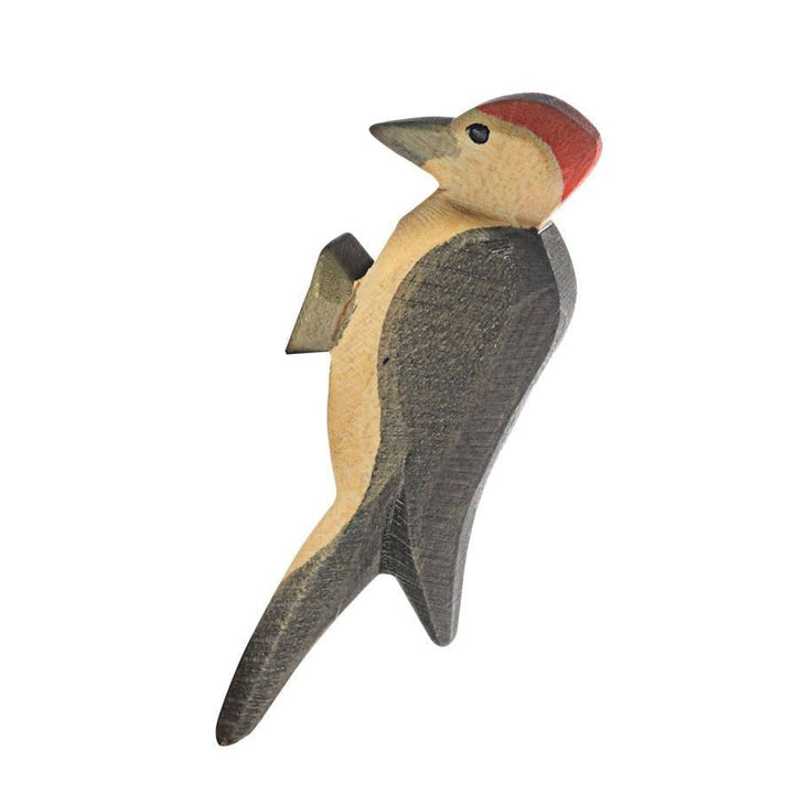 Ostheimer woodpecker