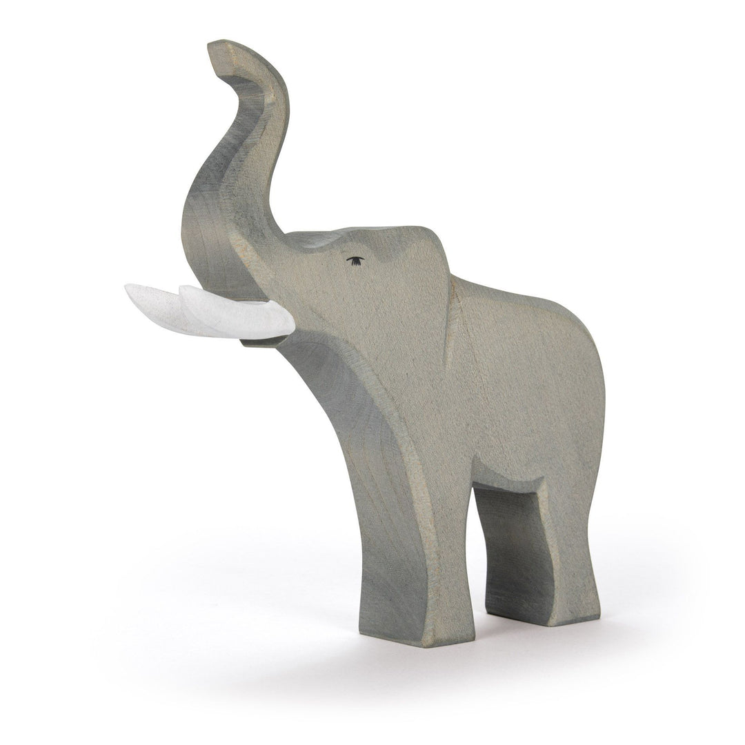 Ostheimer bull (male) elephant trumpeting