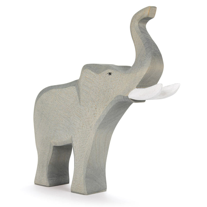 Ostheimer bull (male) elephant trumpeting