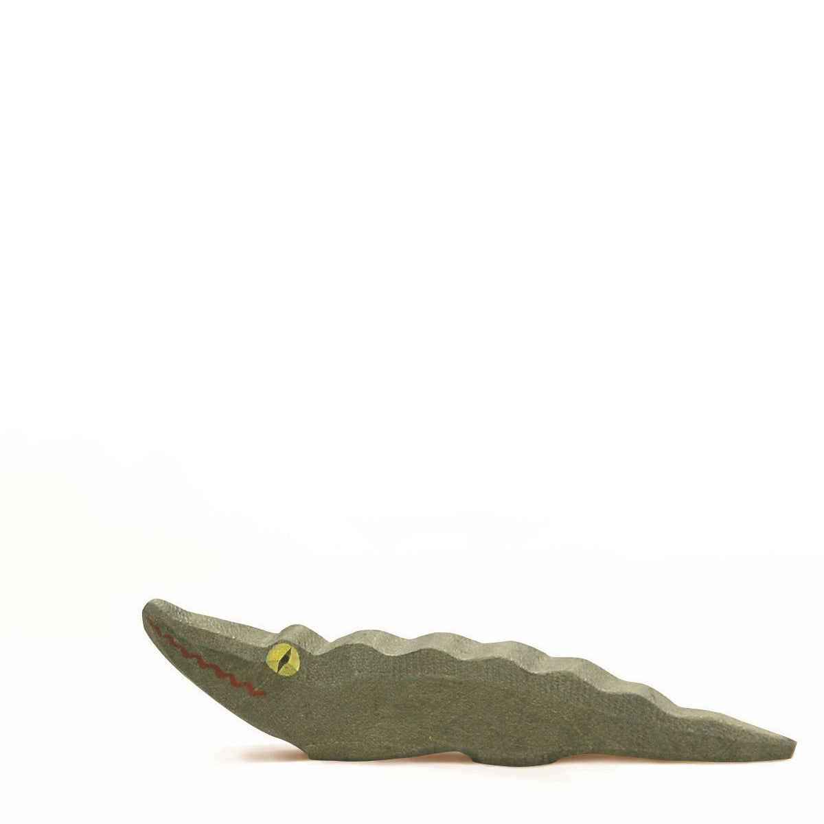 Ostheimer baby crocodile