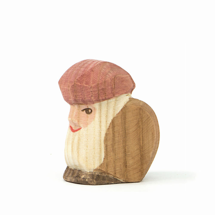Ostheimer fir tree dwarf sitting