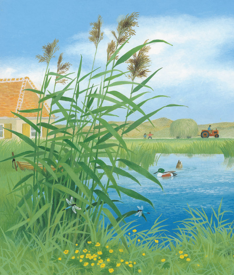Summer by Gerda Muller