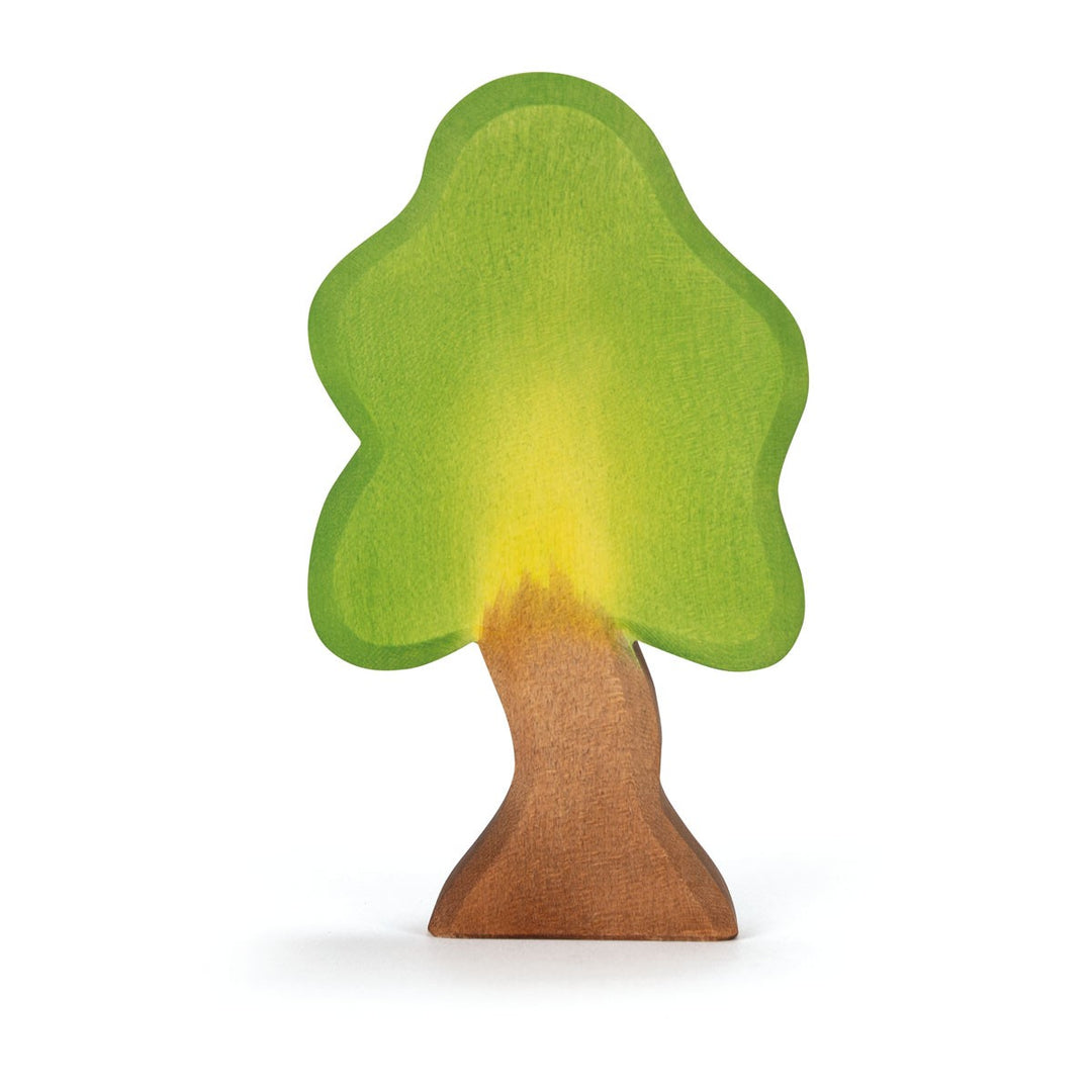Ostheimer oak tree, small with support