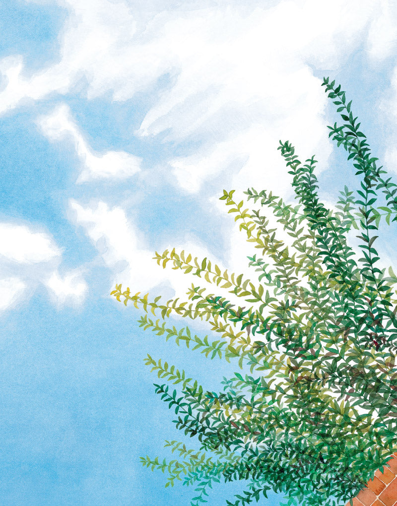 Blue Sky Morning