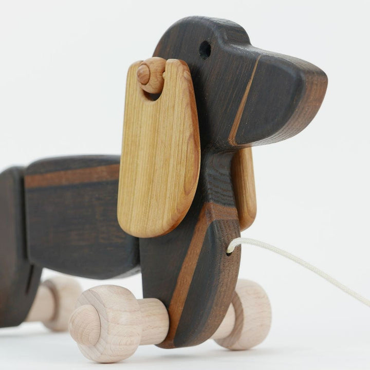 Bajo large black oak dachshund