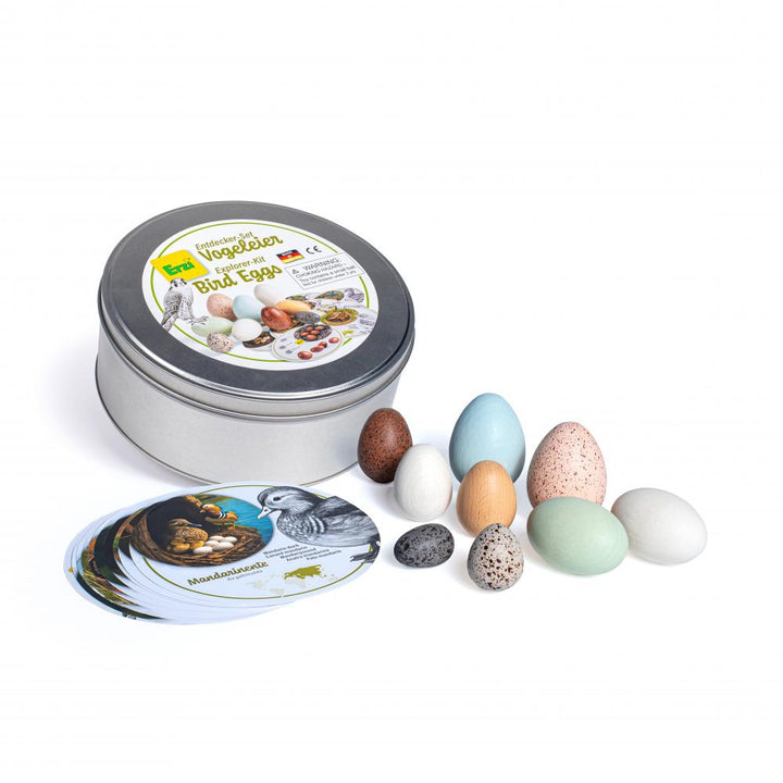 Discovery Set Wooden Eggs