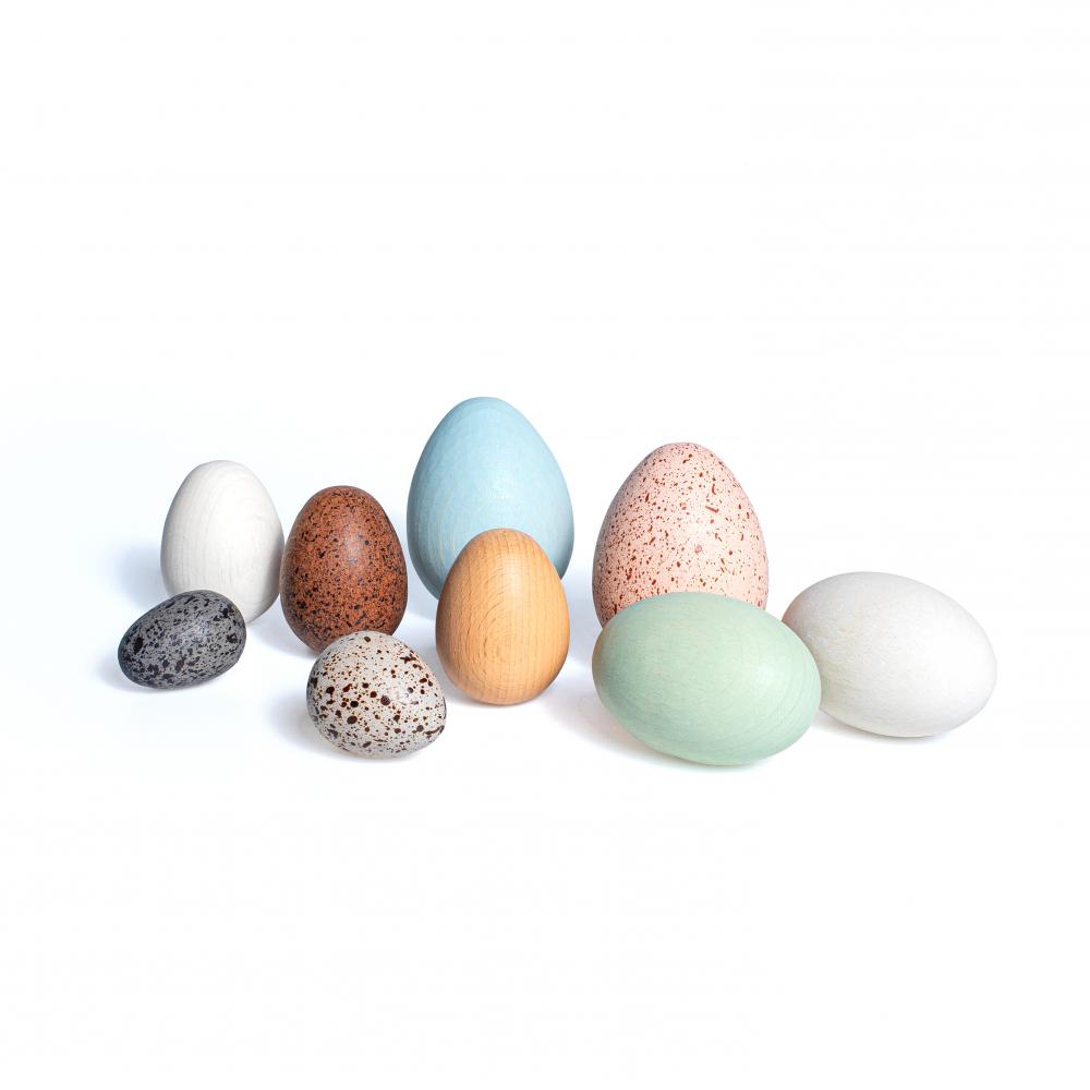 Discovery Set Wooden Eggs