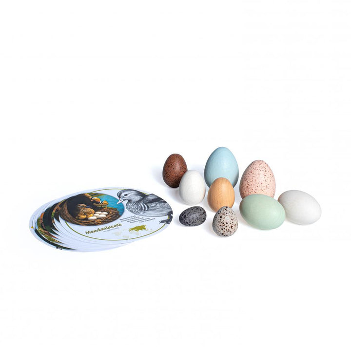 Discovery Set Wooden Eggs