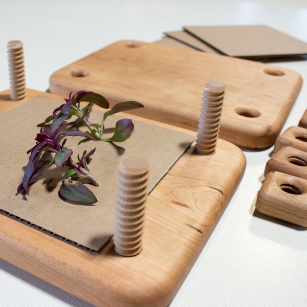 Camden Rose cherrywood flower press
