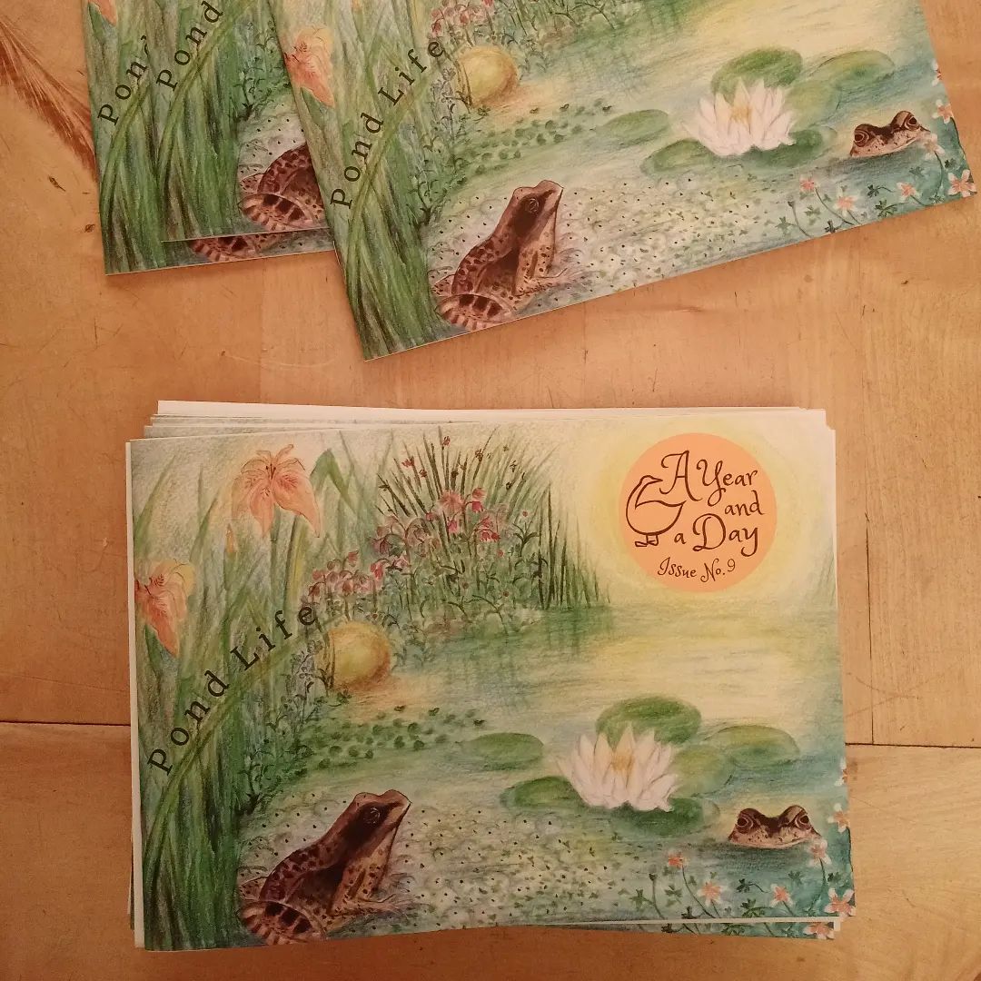 A Year and a Day, Issue 9: Pond Life