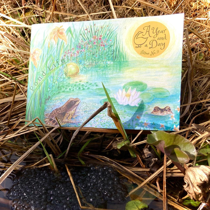 A Year and a Day, Issue 9: Pond Life