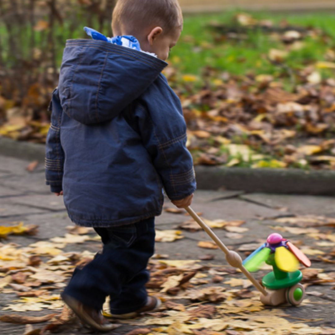 Bajo Spinning Flower push toy