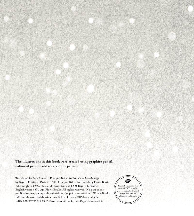 The Christmas Snow Globe