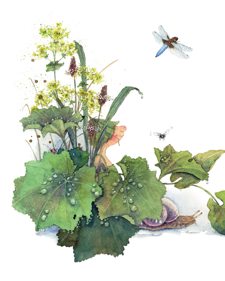 The Garden Adventures of Griswald the Gnome