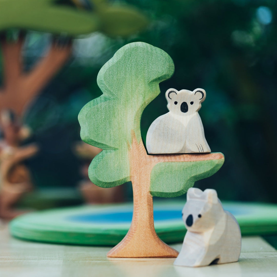 Ostheimer koala sitting