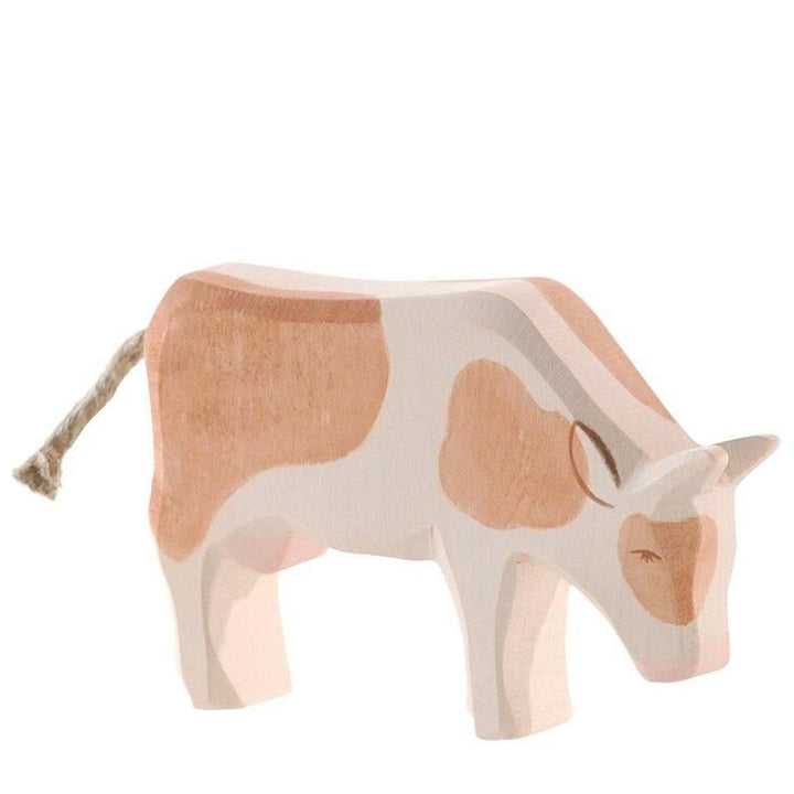 Ostheimer cow brown & white, eating