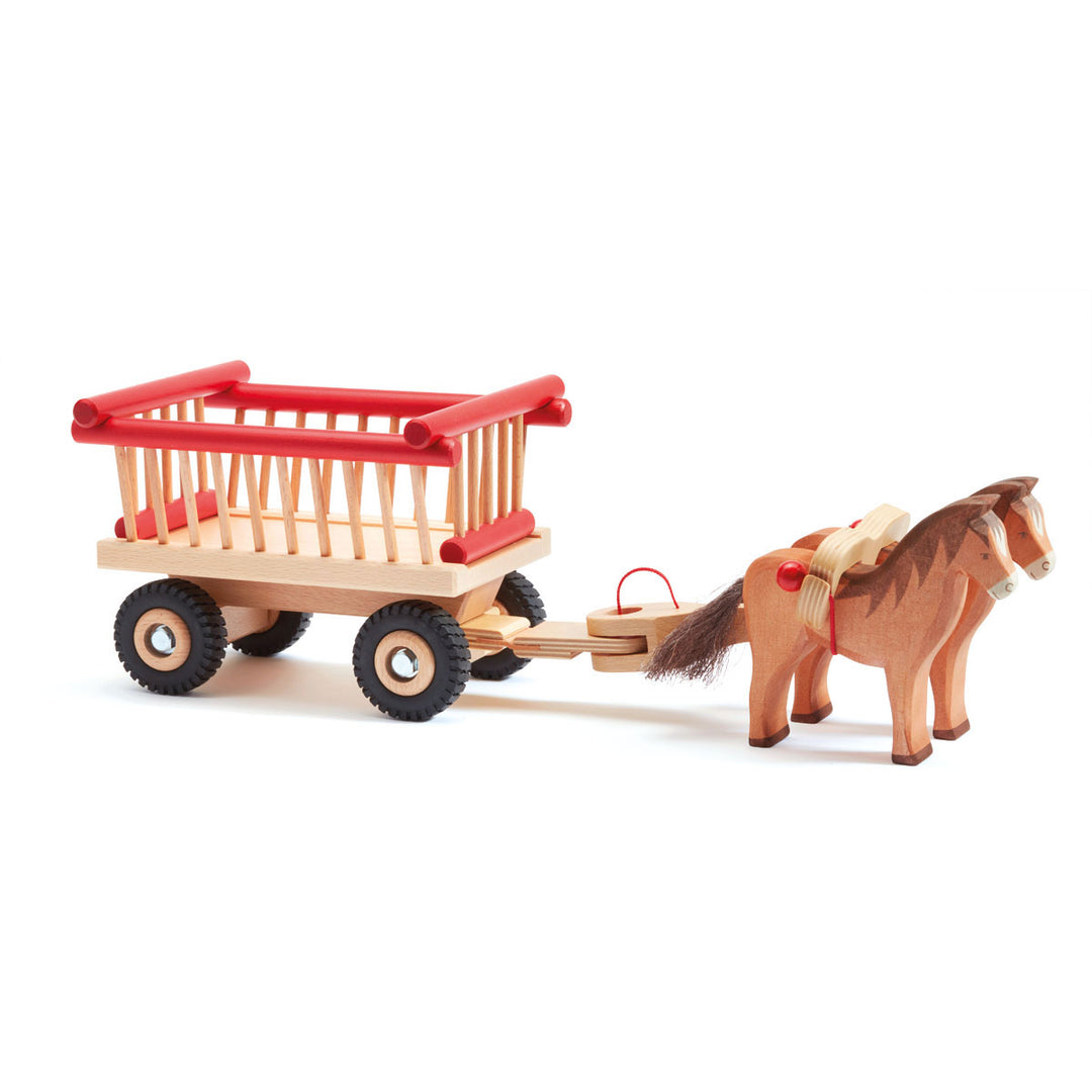Ostheimer brown horse