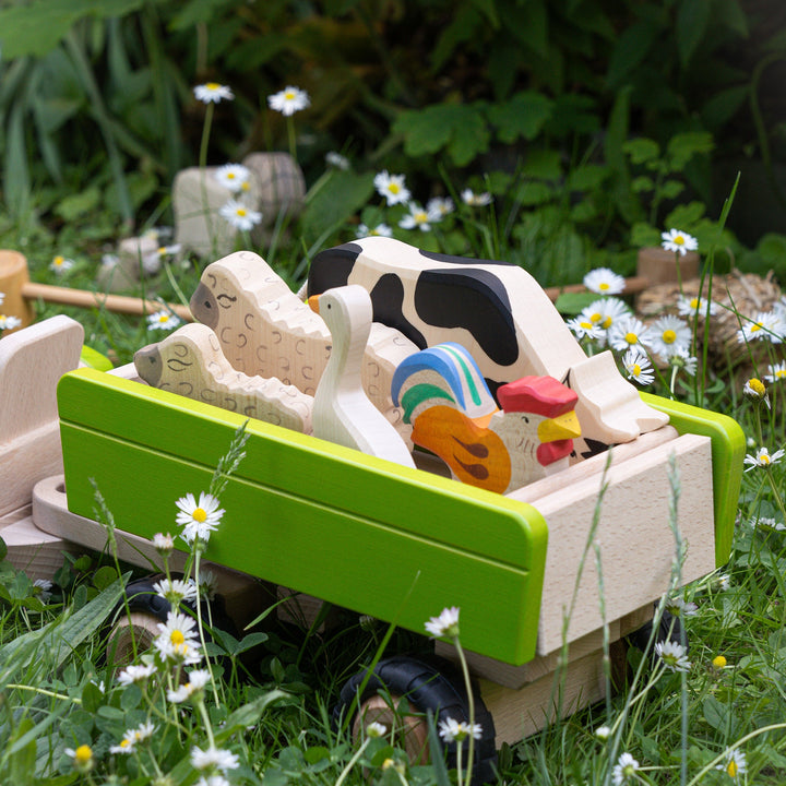 Holztiger sheep