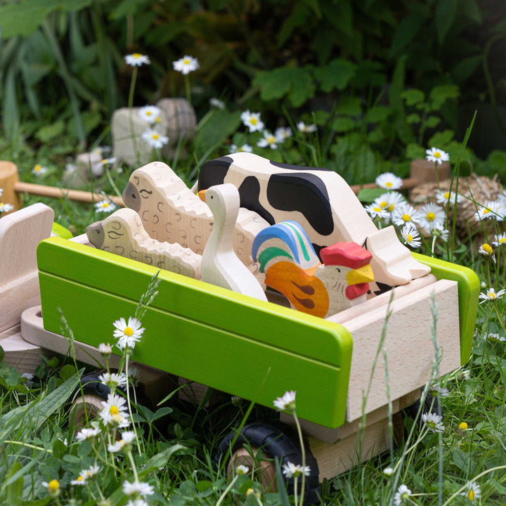 Holztiger cow, black &amp; white, grazing