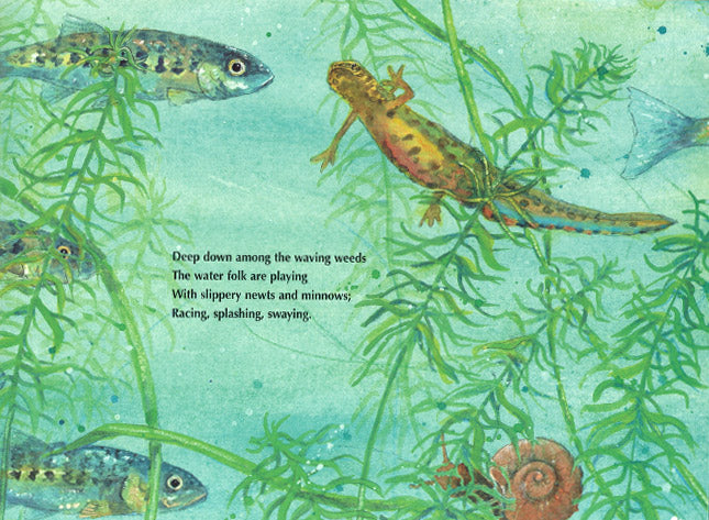 In the Land of Merfolk (out of print)