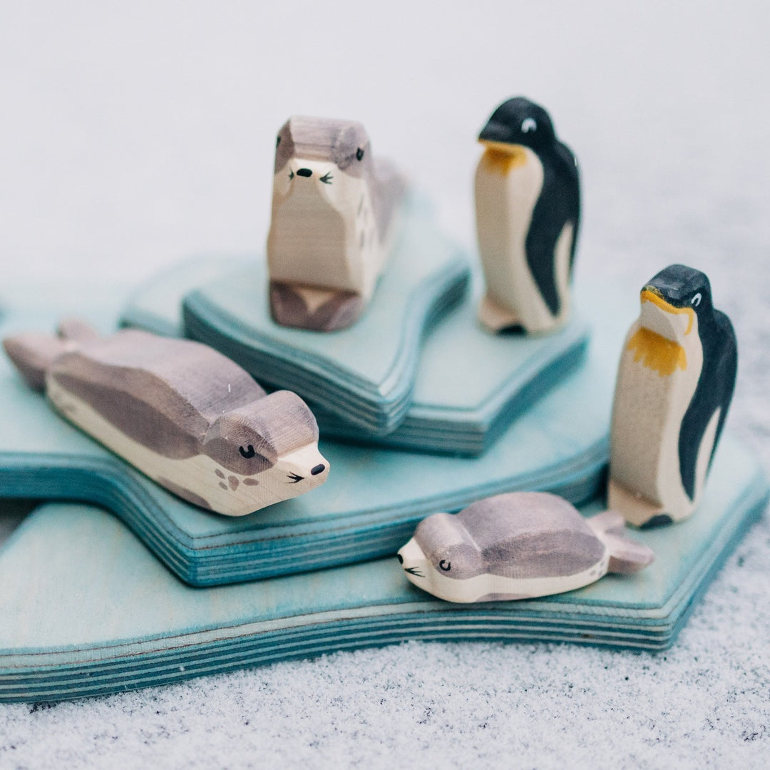 Ostheimer sea lion small