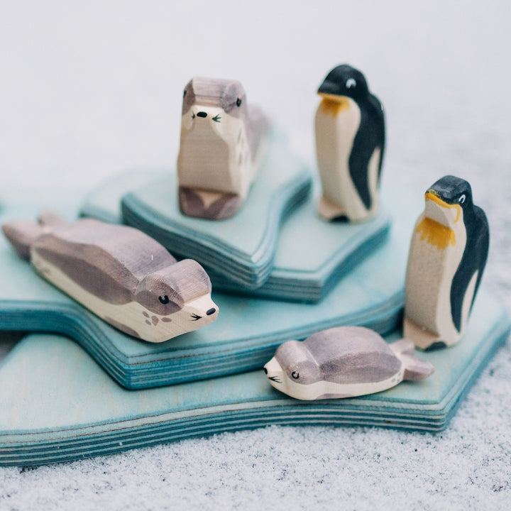 Ostheimer sea lion small